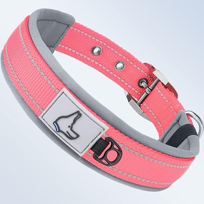 Taglory Double Layer Reflective Thick Nylon Built,Neoprene Padded,Soft and Breathable