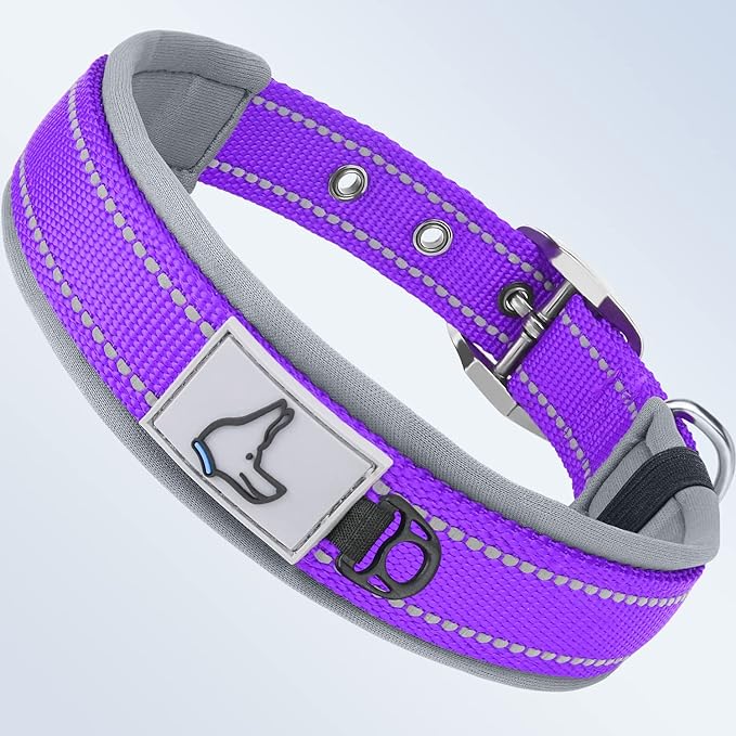 Taglory Double Layer Reflective Thick Nylon Built,Neoprene Padded,Soft and Breathable