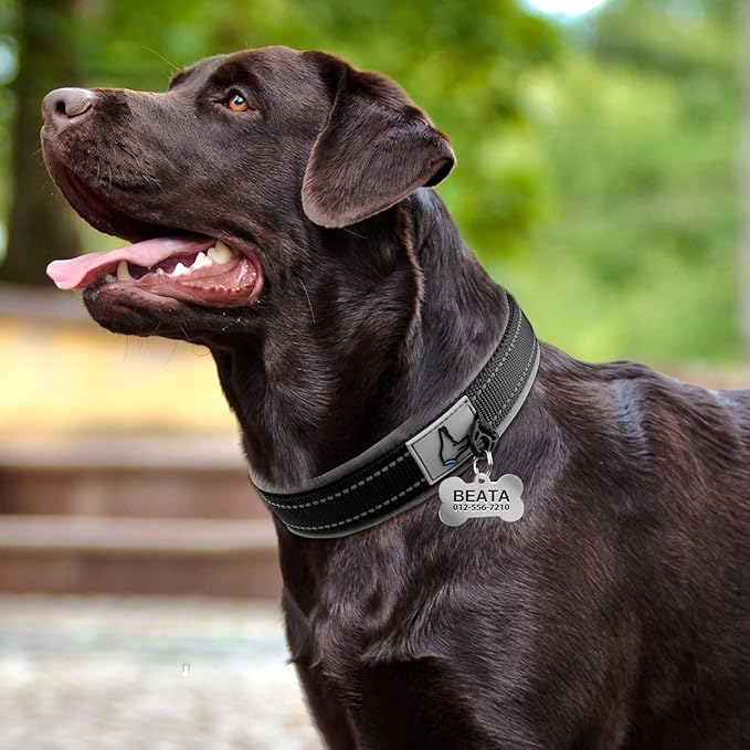 Taglory Double Layer Reflective Thick Nylon Built,Neoprene Padded,Soft and Breathable