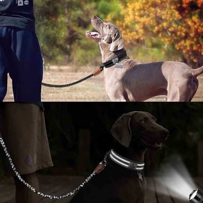 Taglory Double Layer Reflective Thick Nylon Built,Neoprene Padded,Soft and Breathable