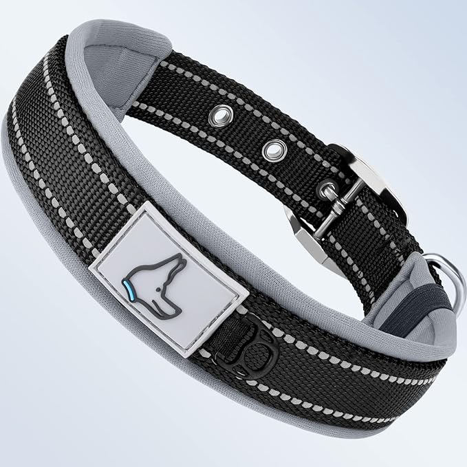 Taglory Double Layer Reflective Thick Nylon Built,Neoprene Padded,Soft and Breathable