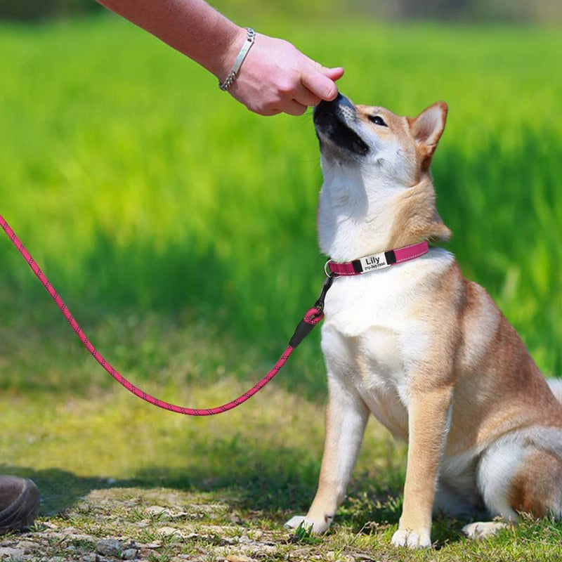 Custom Reflective Dog Collar with Name Plate