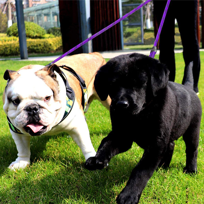 Reflective Double Dog Leash, 360 Swivel No Tangle Walking Double Leash