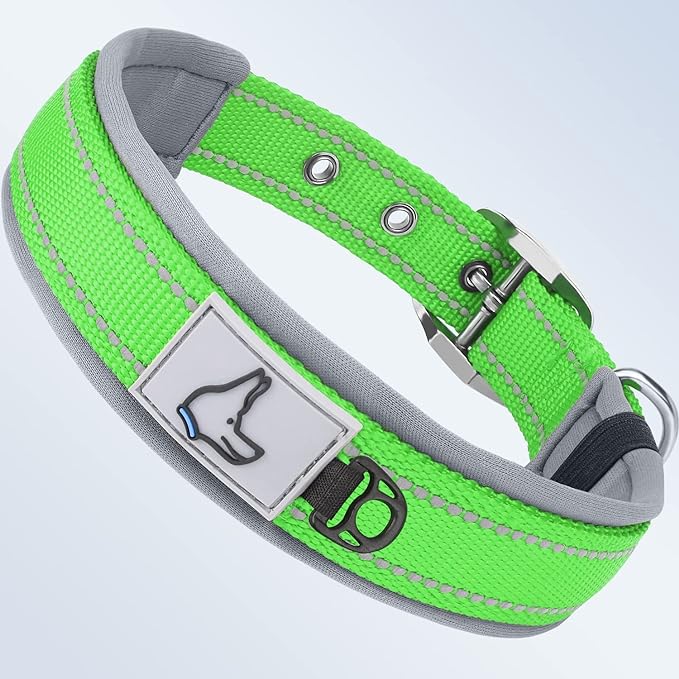 Taglory Double Layer Reflective Thick Nylon Built,Neoprene Padded,Soft and Breathable