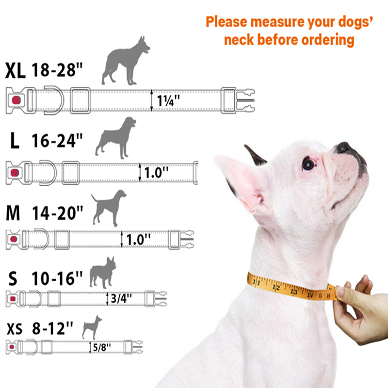 Reflective Dog Collar with Safety Locking Buckle