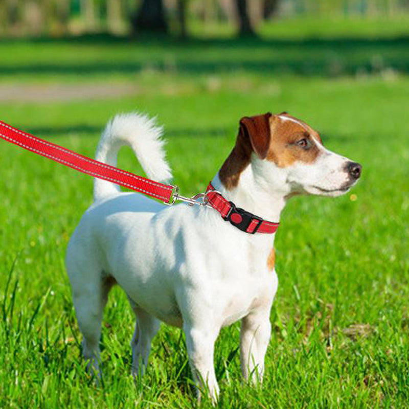 Reflective Dog Collar with Safety Locking Buckle