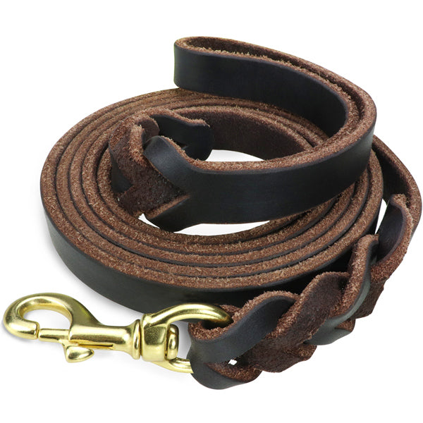 Leather Braided Dog Leash