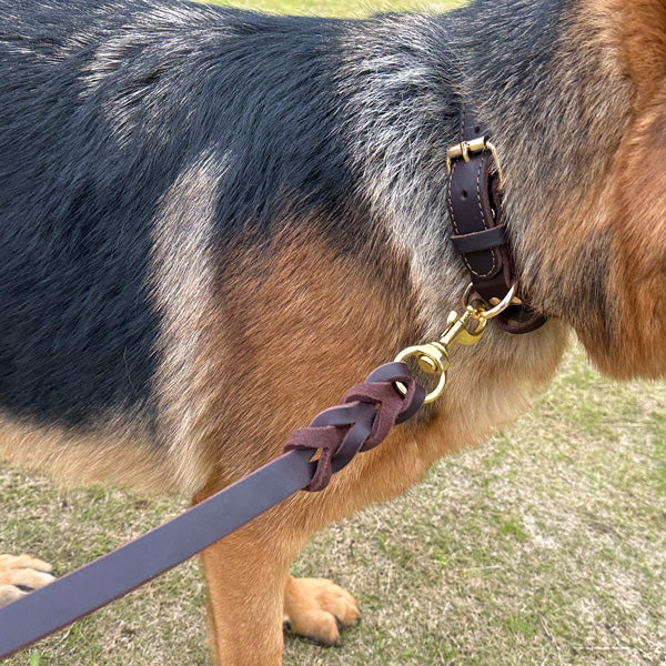Leather Braided Dog Leash