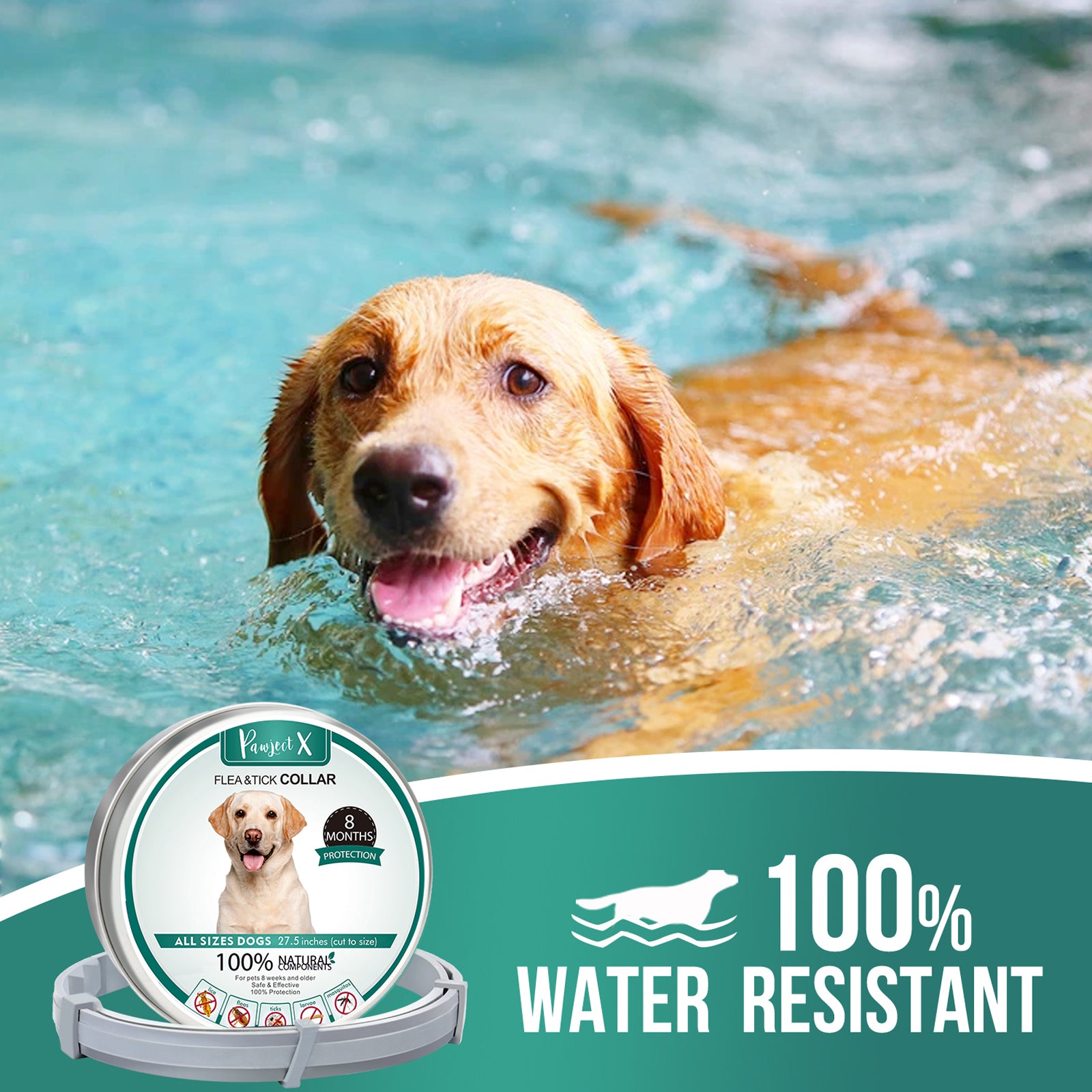 Pawject X flea and tick collar for dogs/cats, Anti Tick Mite Flea Collar For Small & Large Pets