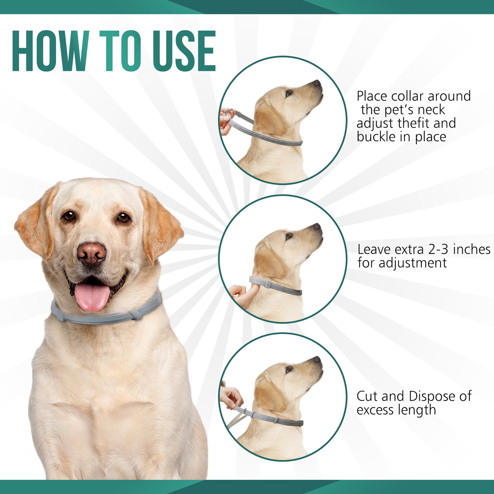 Pawject X flea and tick collar for dogs/cats, Anti Tick Mite Flea Collar For Small & Large Pets