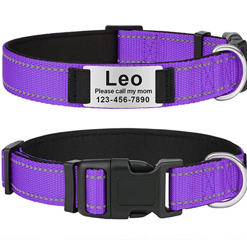 Custom Reflective Dog Collar with Name Plate