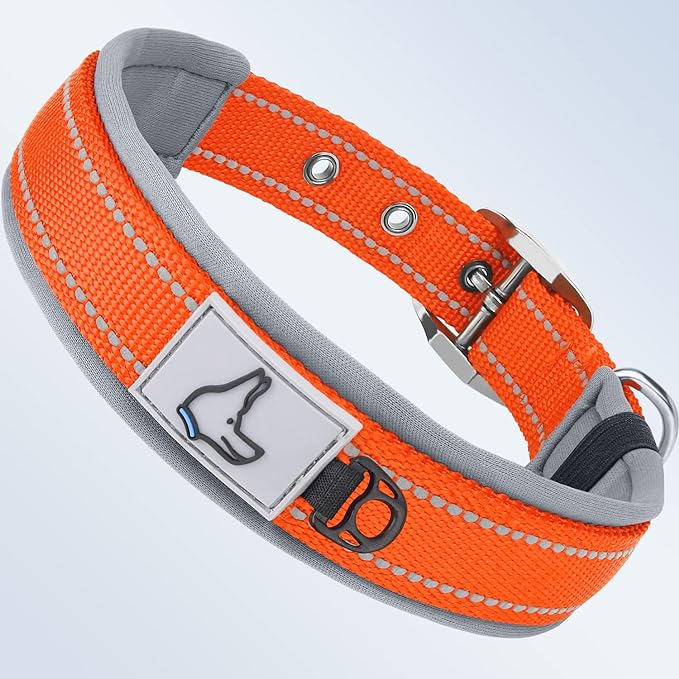 Taglory Double Layer Reflective Thick Nylon Built,Neoprene Padded,Soft and Breathable