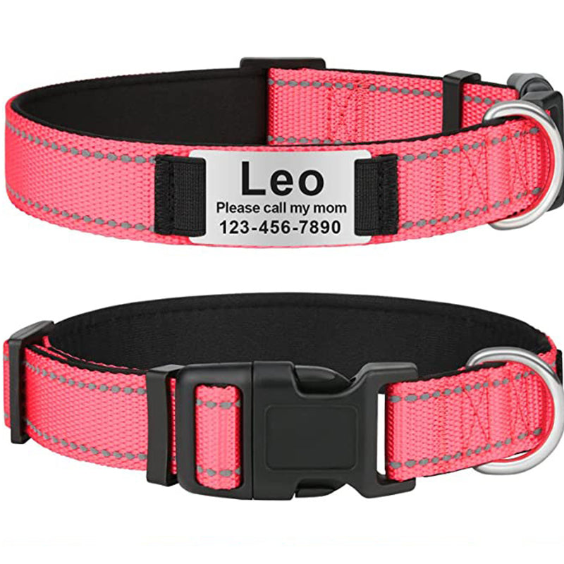 Custom Reflective Dog Collar with Name Plate
