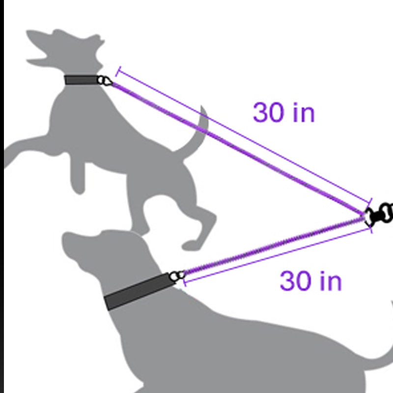 Reflective Double Dog Leash, 360 Swivel No Tangle Walking Double Leash