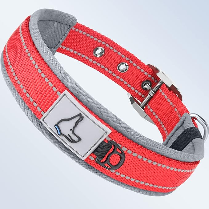 Taglory Double Layer Reflective Thick Nylon Built,Neoprene Padded,Soft and Breathable