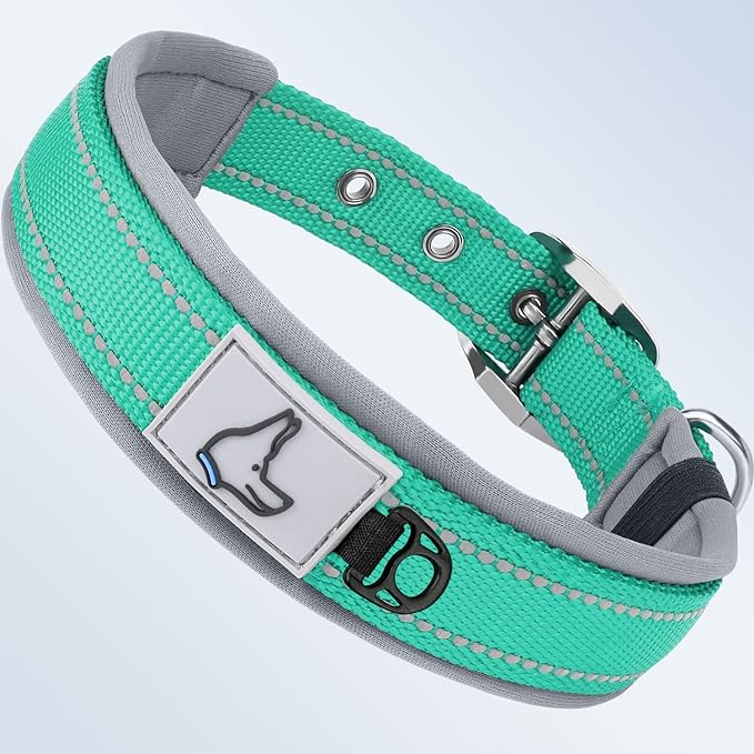 Taglory Double Layer Reflective Thick Nylon Built,Neoprene Padded,Soft and Breathable