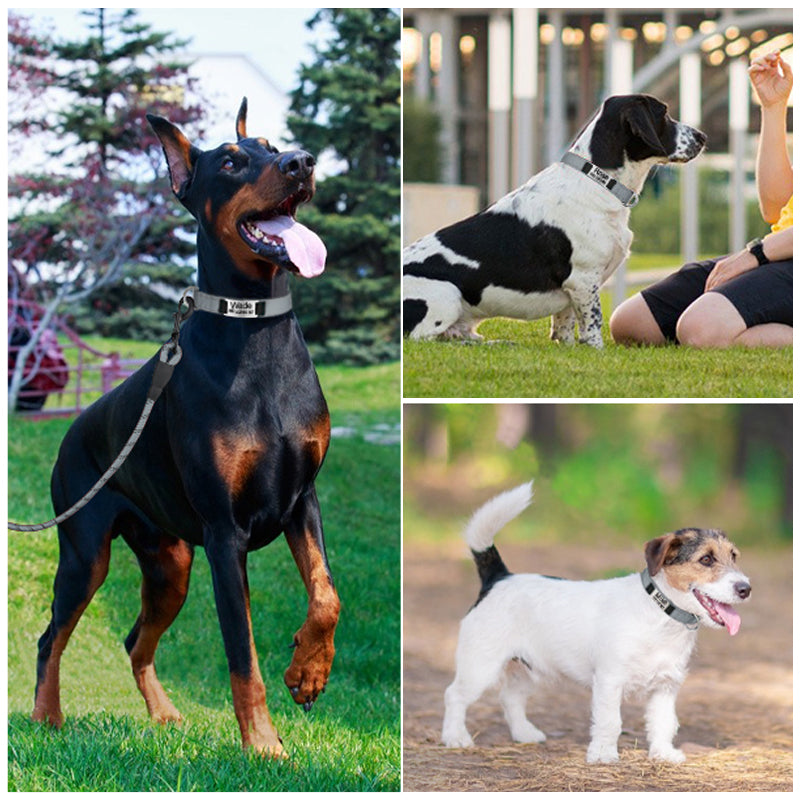 Custom Reflective Dog Collar with Name Plate