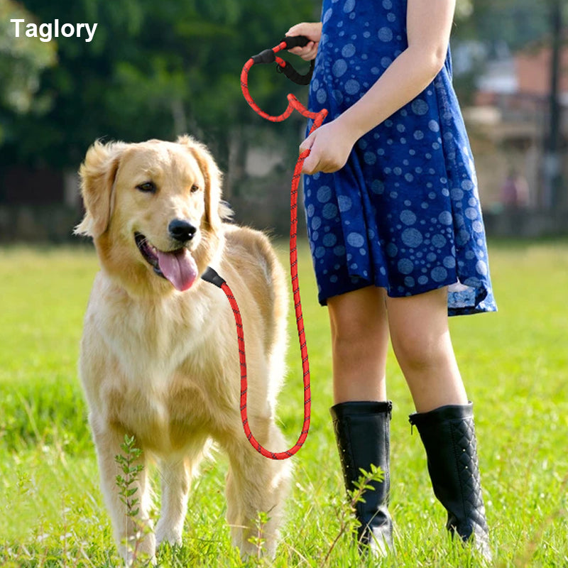 Padded Handle Highly Reflective Threads Dog Leash