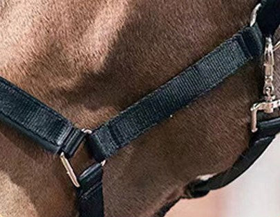 Taglory Heavy-duty Breakaway Original Adjustable Chin and Throat Snap Horse Halter