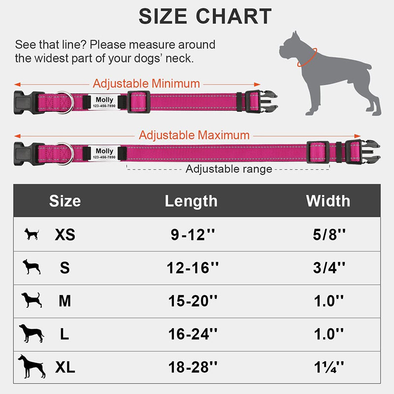 Custom Reflective Dog Collar with Name Plate