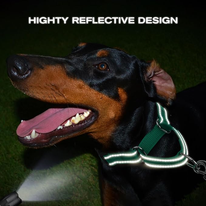 Taglory Martingale Collar for Dogs, Reflective Heavy Duty Dog Collar for Safety, Quick Release Buckle