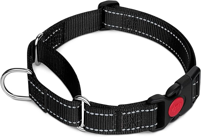 Taglory Martingale Collar for Dogs, Reflective Heavy Duty Dog Collar for Safety, Quick Release Buckle