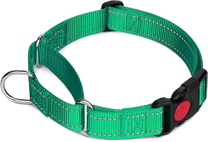 Taglory Martingale Collar for Dogs, Reflective Heavy Duty Dog Collar for Safety, Quick Release Buckle