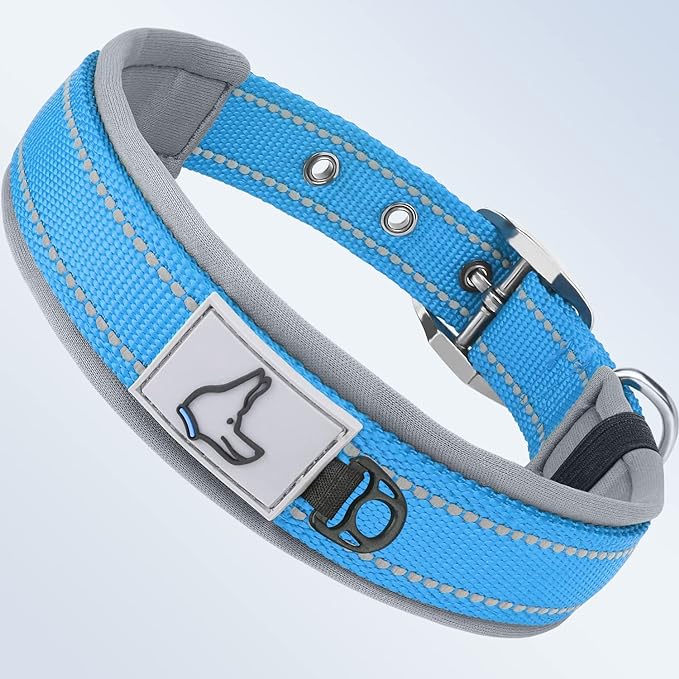 Taglory Double Layer Reflective Thick Nylon Built,Neoprene Padded,Soft and Breathable