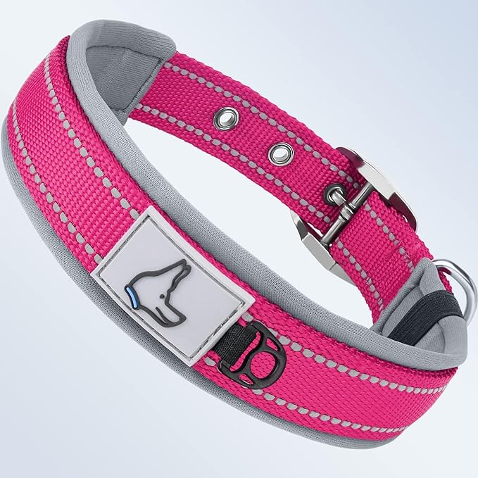 Taglory Double Layer Reflective Thick Nylon Built,Neoprene Padded,Soft and Breathable