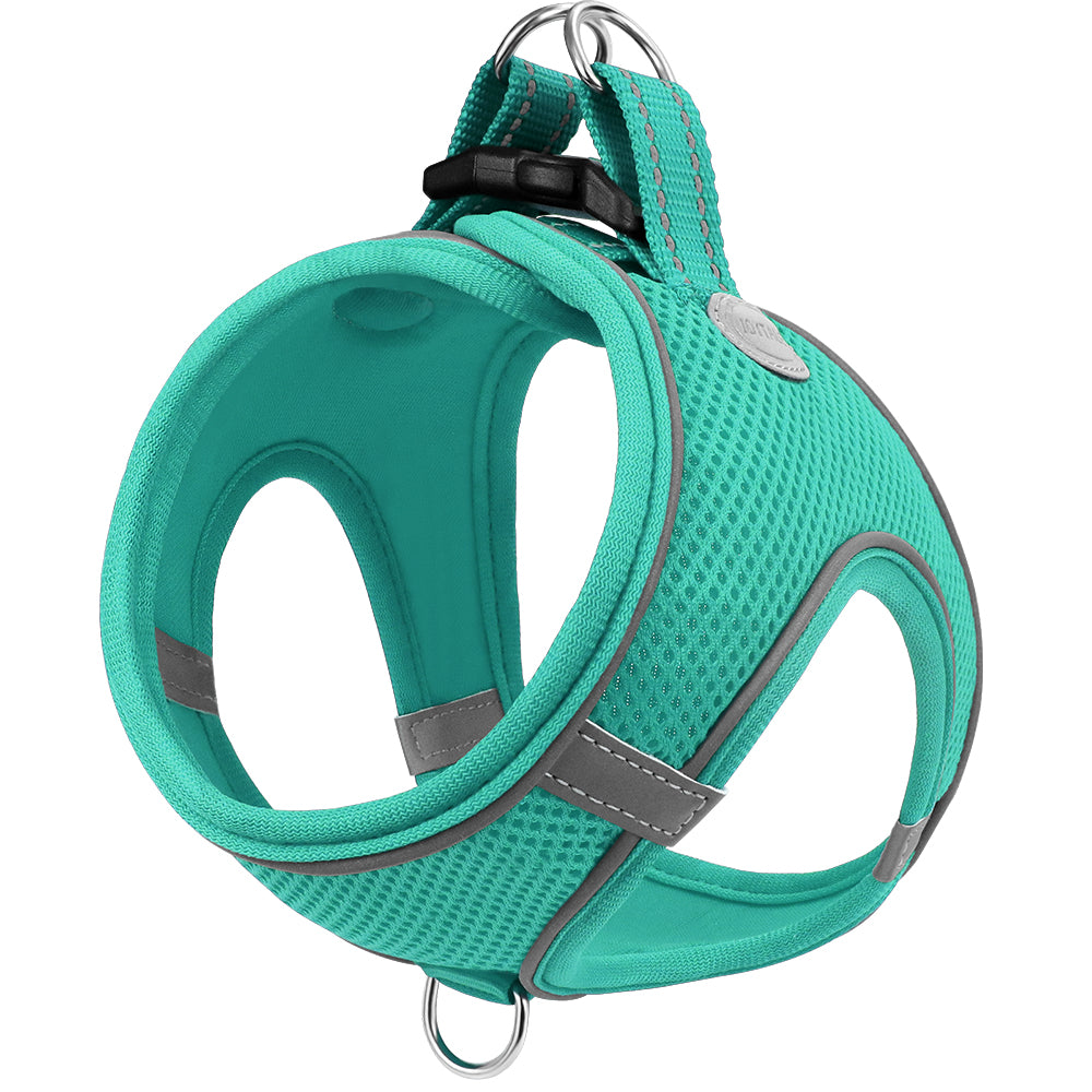 Taglory Dog Mesh Vest Harness