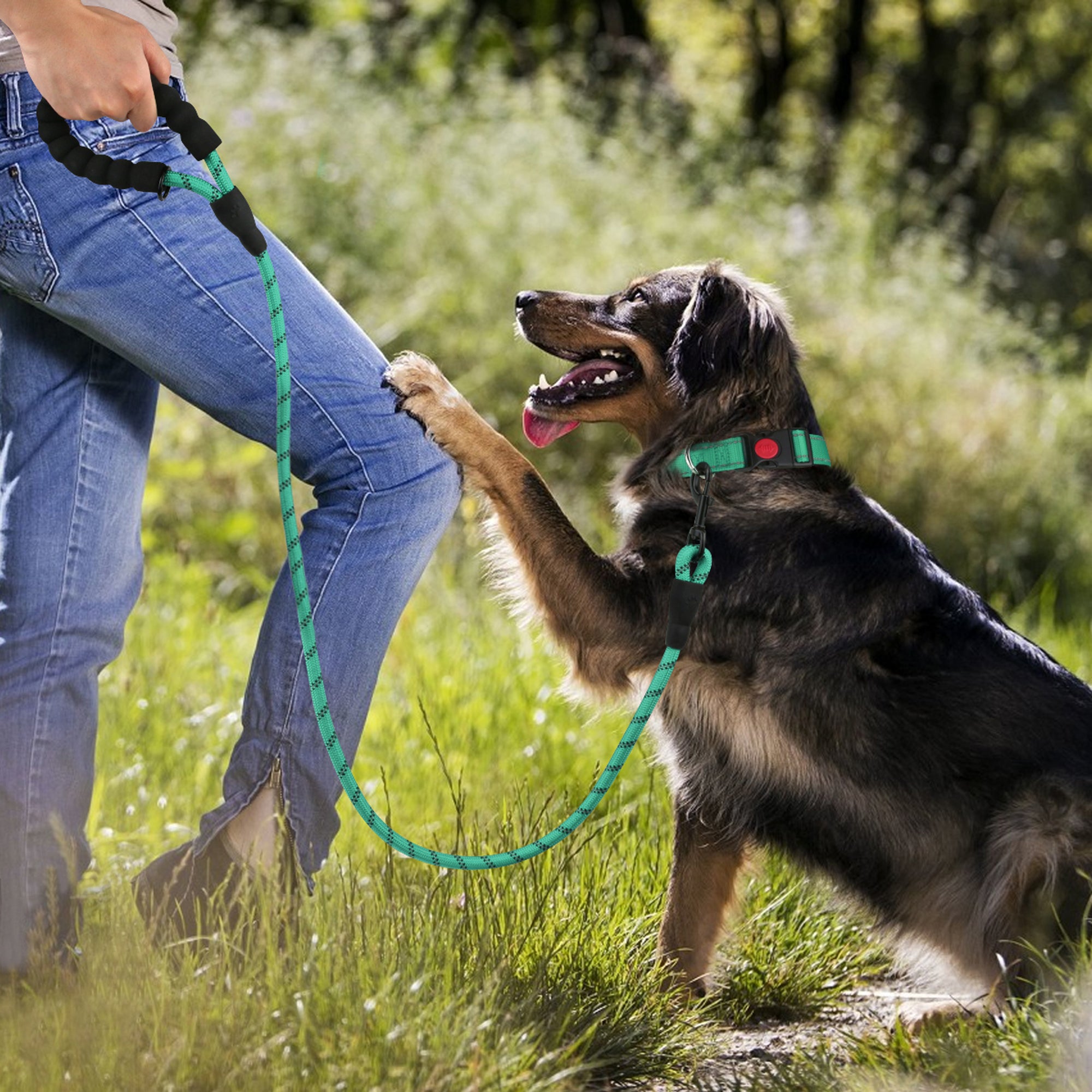 Padded Handle Highly Reflective Threads Dog Leash--Turquoise