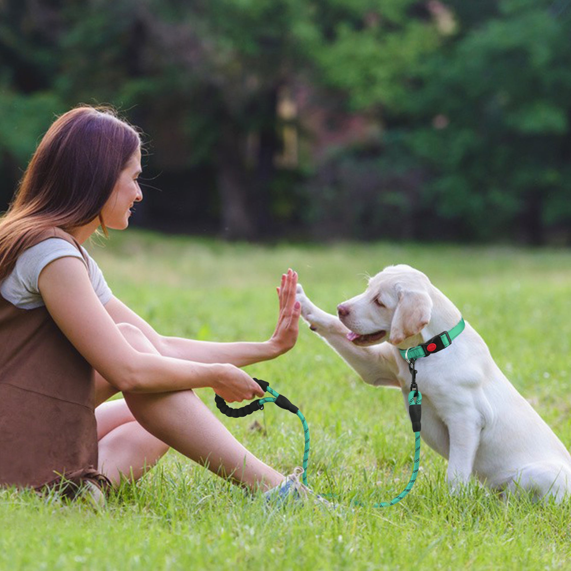 Padded Handle Highly Reflective Threads Dog Leash--Turquoise
