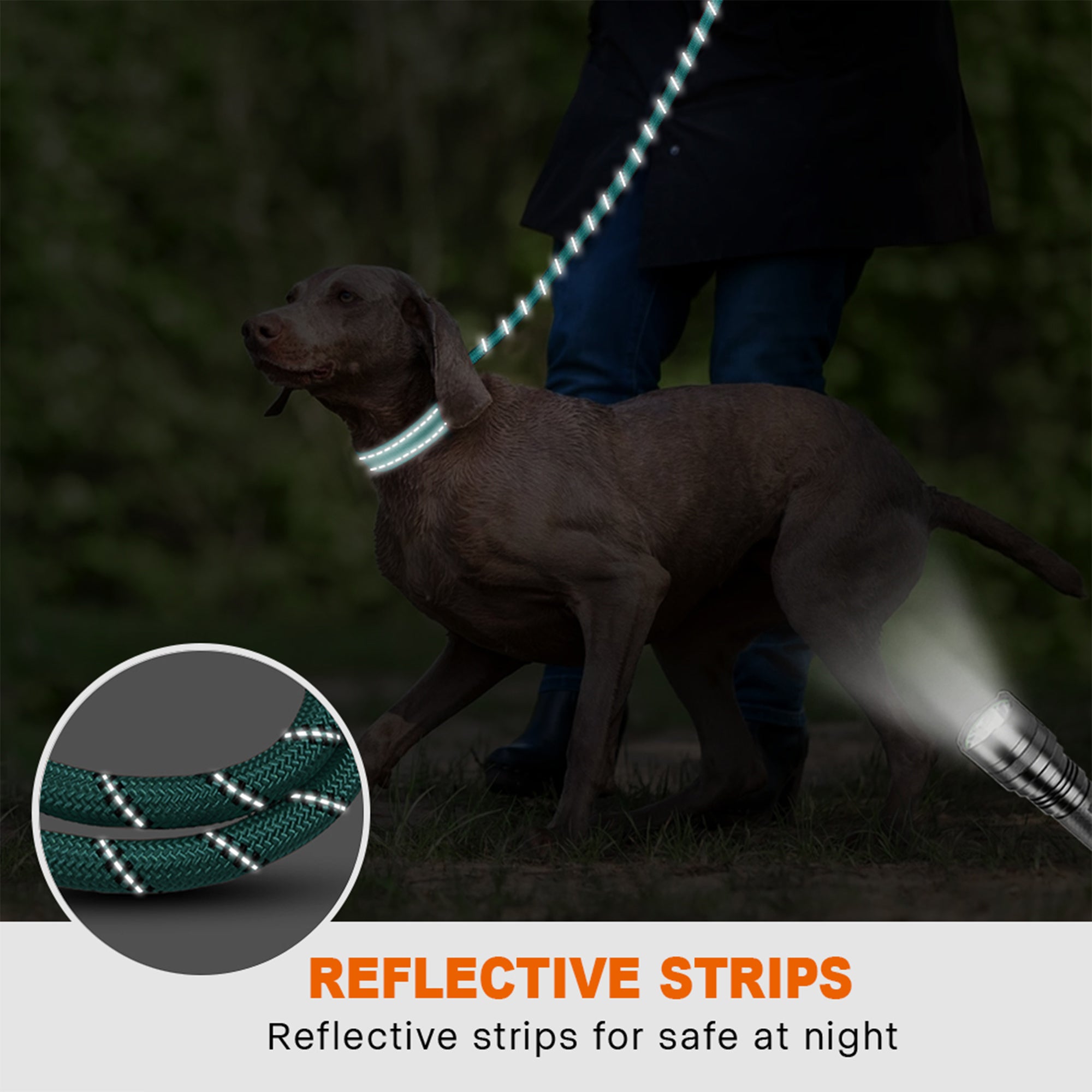 Padded Handle Highly Reflective Threads Dog Leash--Turquoise