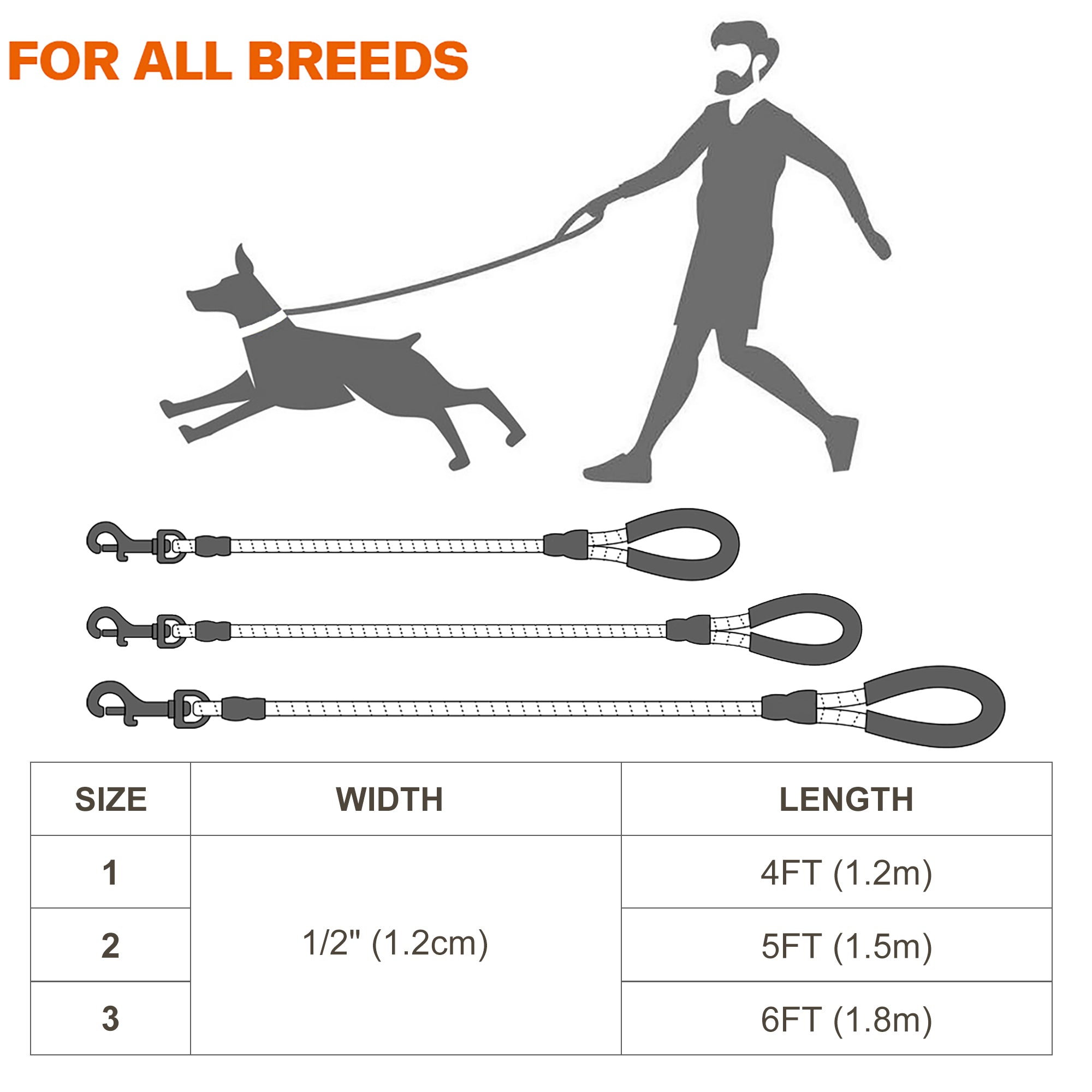 Padded Handle Highly Reflective Threads Dog Leash--Turquoise