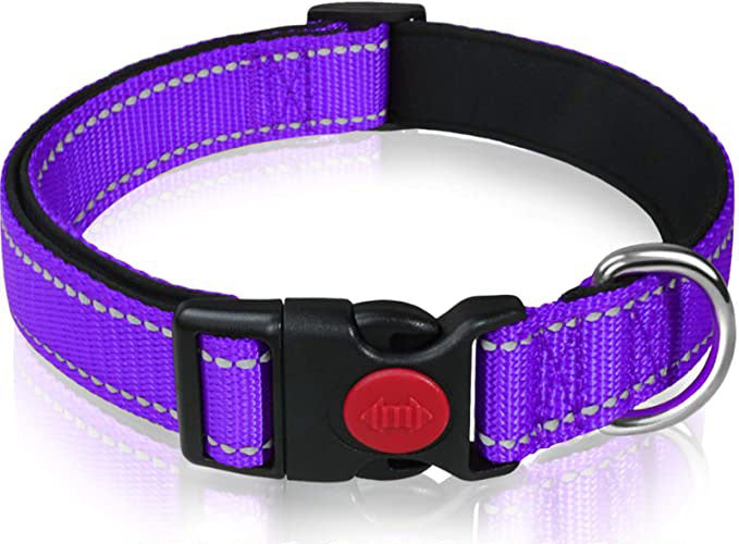 Reflective Dog Collar with Safety Locking Buckle